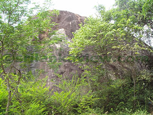 Hatthikucchi Vihara